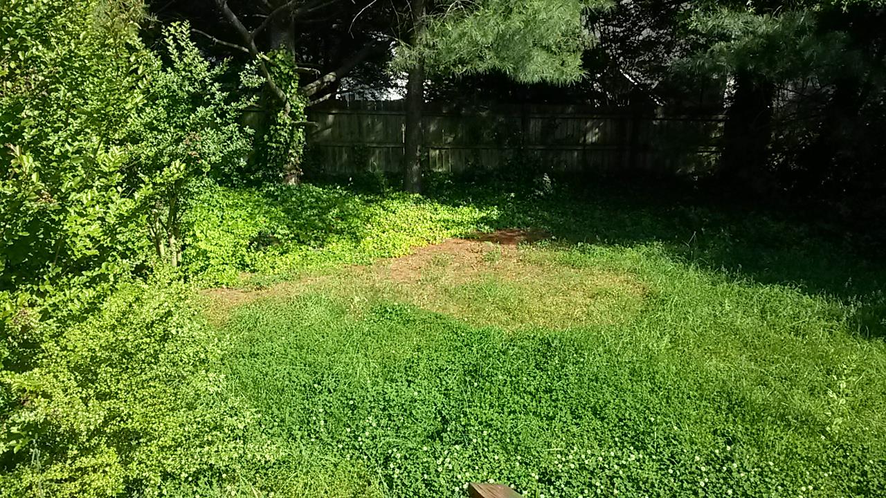 882 Wheatfields Pl, Decatur, GA 30030 photo 20