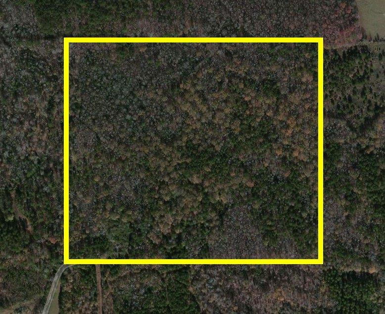 245 Kimbrough Rd, Jenkinsburg, GA 30234 photo 2