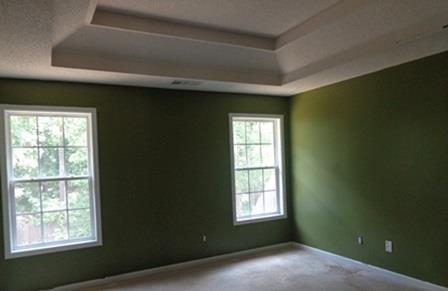 11724 Registry Blvd, Hampton, GA 30228 photo 6
