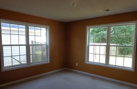 11724 Registry Blvd, Hampton, GA 30228 photo 9