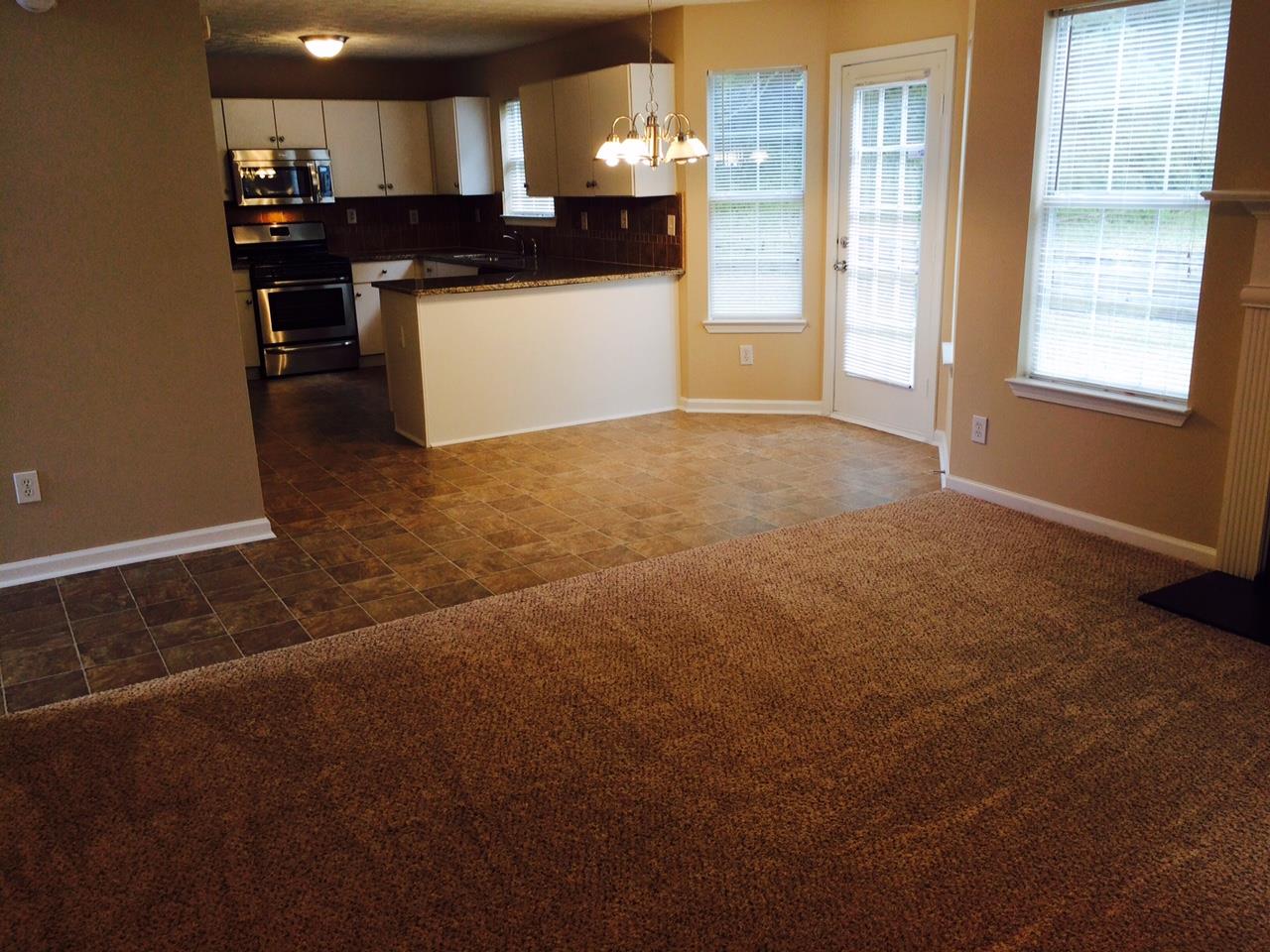 11037 Pebble Ridge Dr, Hampton, GA 30228 photo 11