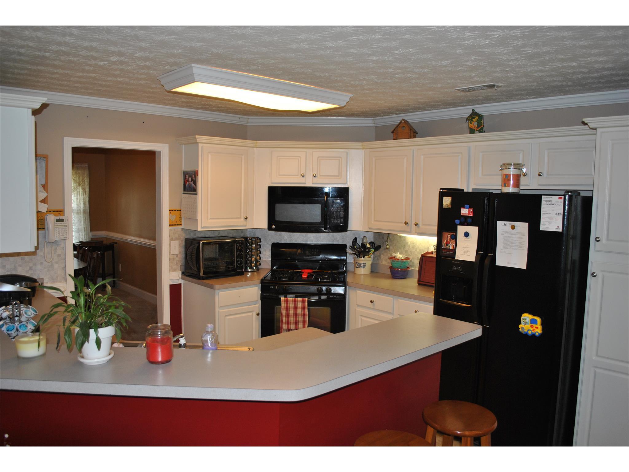 130 Blue Smoke Trl, Hampton, GA 30228 photo 15