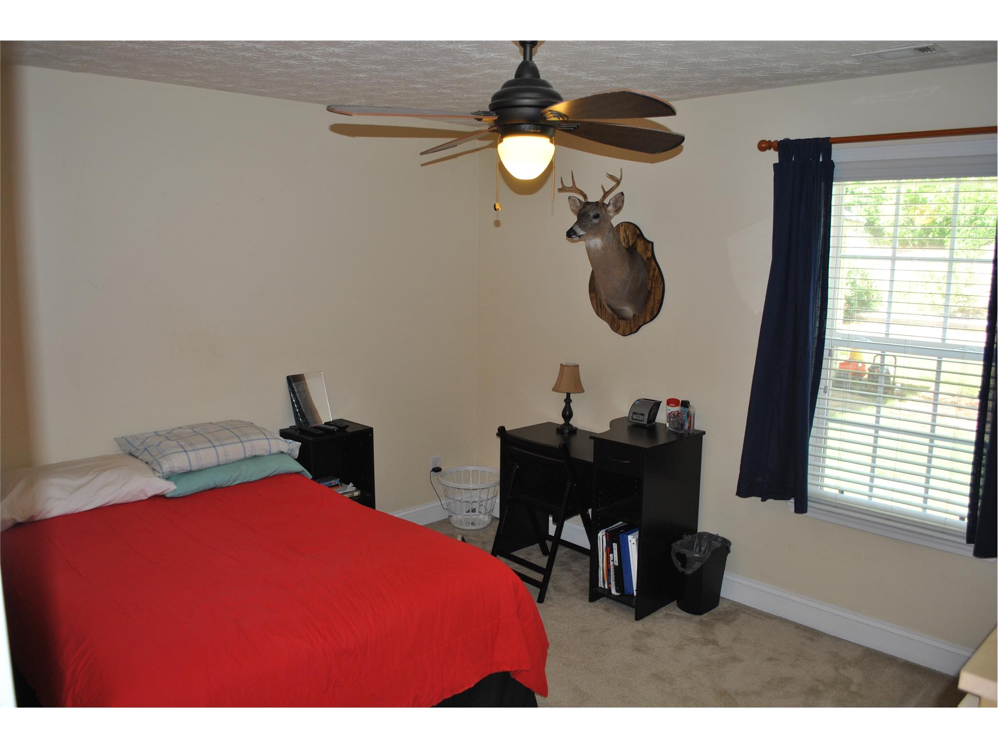 130 Blue Smoke Trl, Hampton, GA 30228 photo 14
