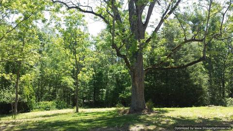 558 John Fleming Rd, Hartwell, GA 30643 photo 14