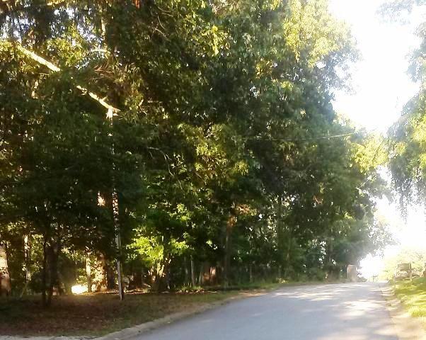1910 Chambers Rd, Mcdonough, GA 30253 photo 16