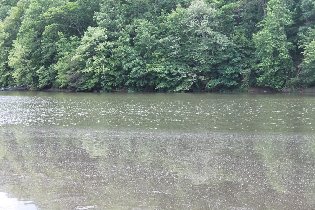 90 Greenock Cv, Toccoa, GA 30577 photo 6