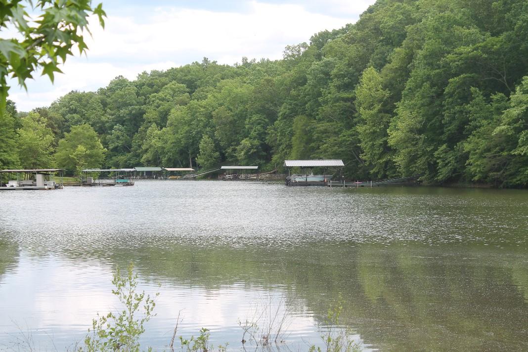 90 Greenock Cv, Toccoa, GA 30577 photo 4