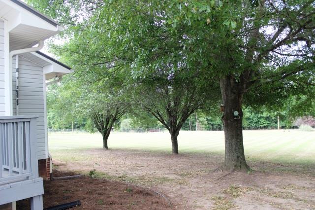 171 Steele Rd, Comer, GA 30629 photo 20