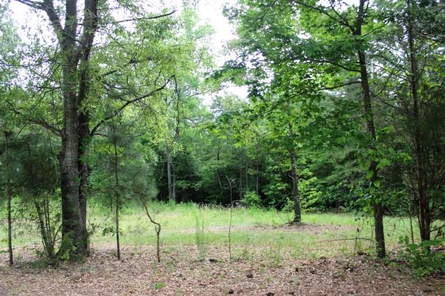 171 Steele Rd, Comer, GA 30629 photo 25