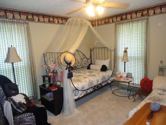 711 New Hope Dr, Hampton, GA 30228 photo 14