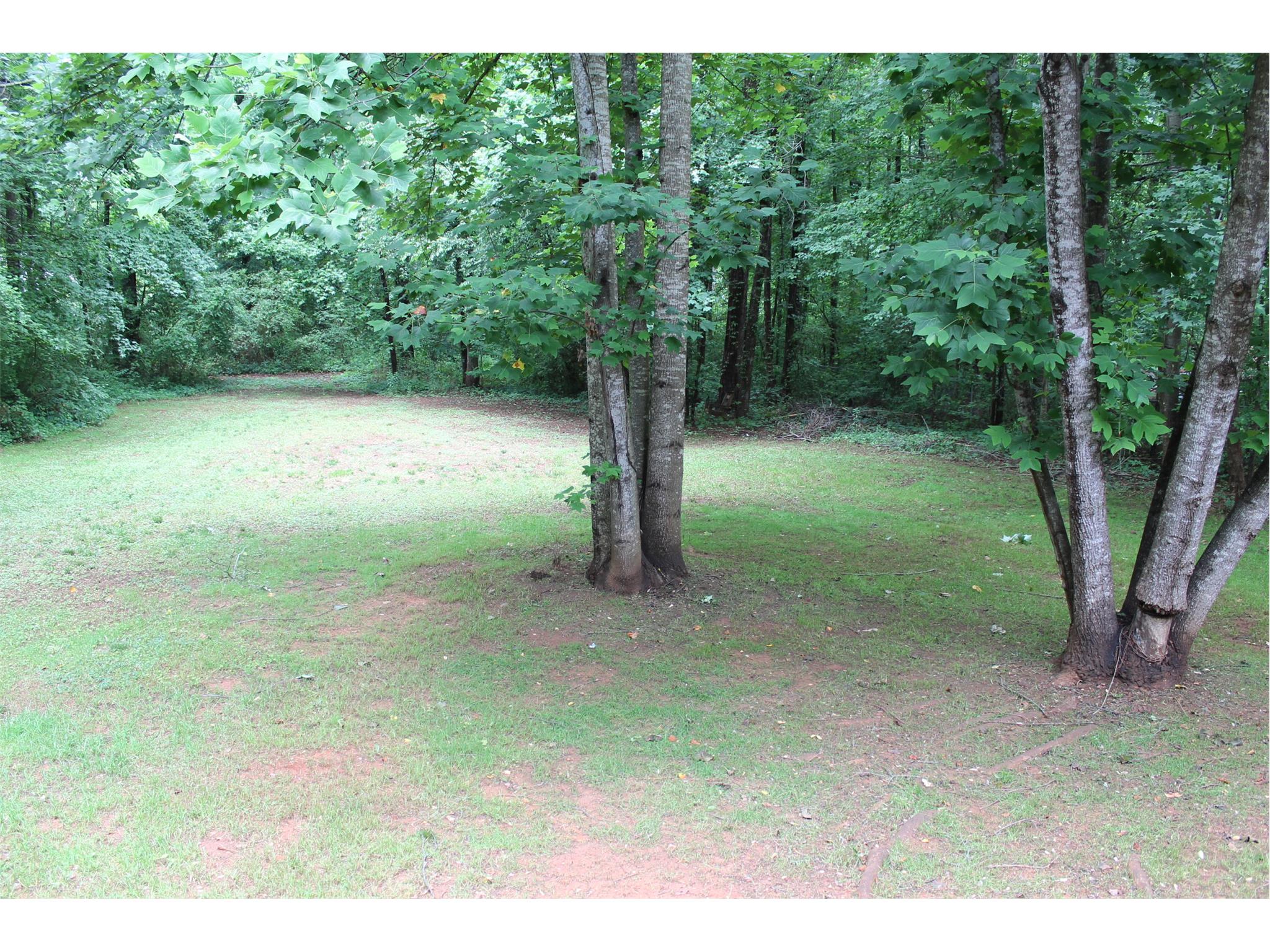 180 Countryside Ln, Covington, GA 30016 photo 19