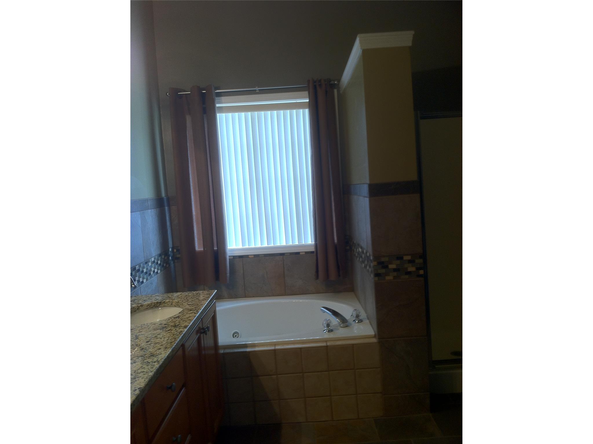 248 Caitlyn Dr, Hampton, GA 30228 photo 9