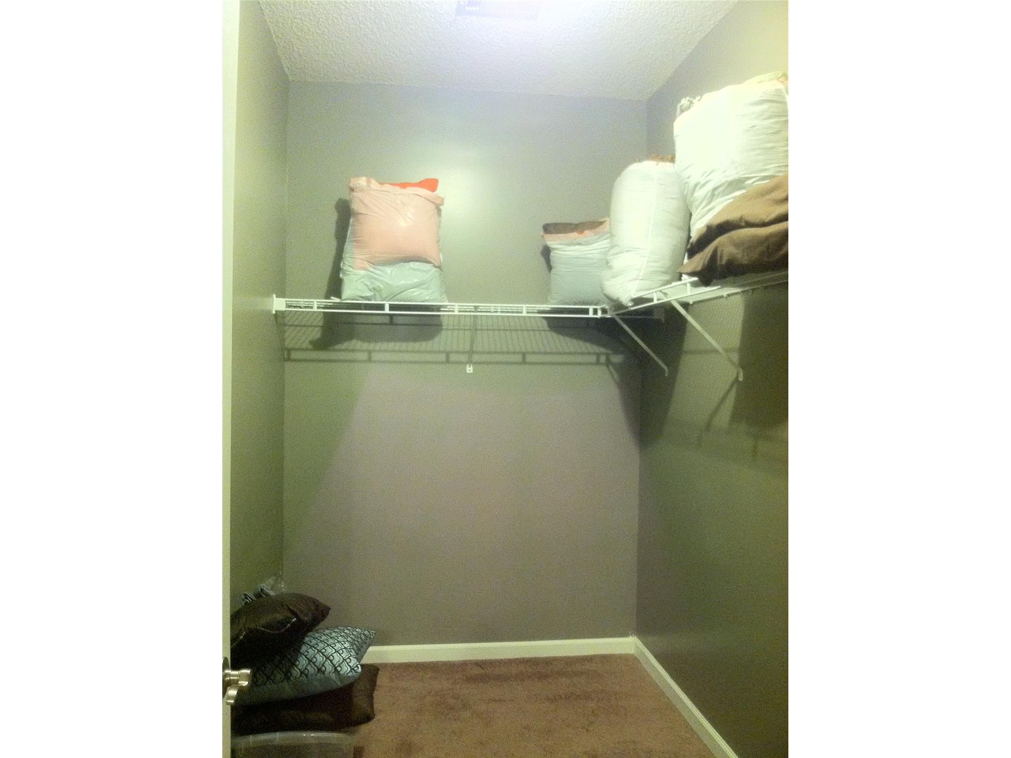 248 Caitlyn Dr, Hampton, GA 30228 photo 17