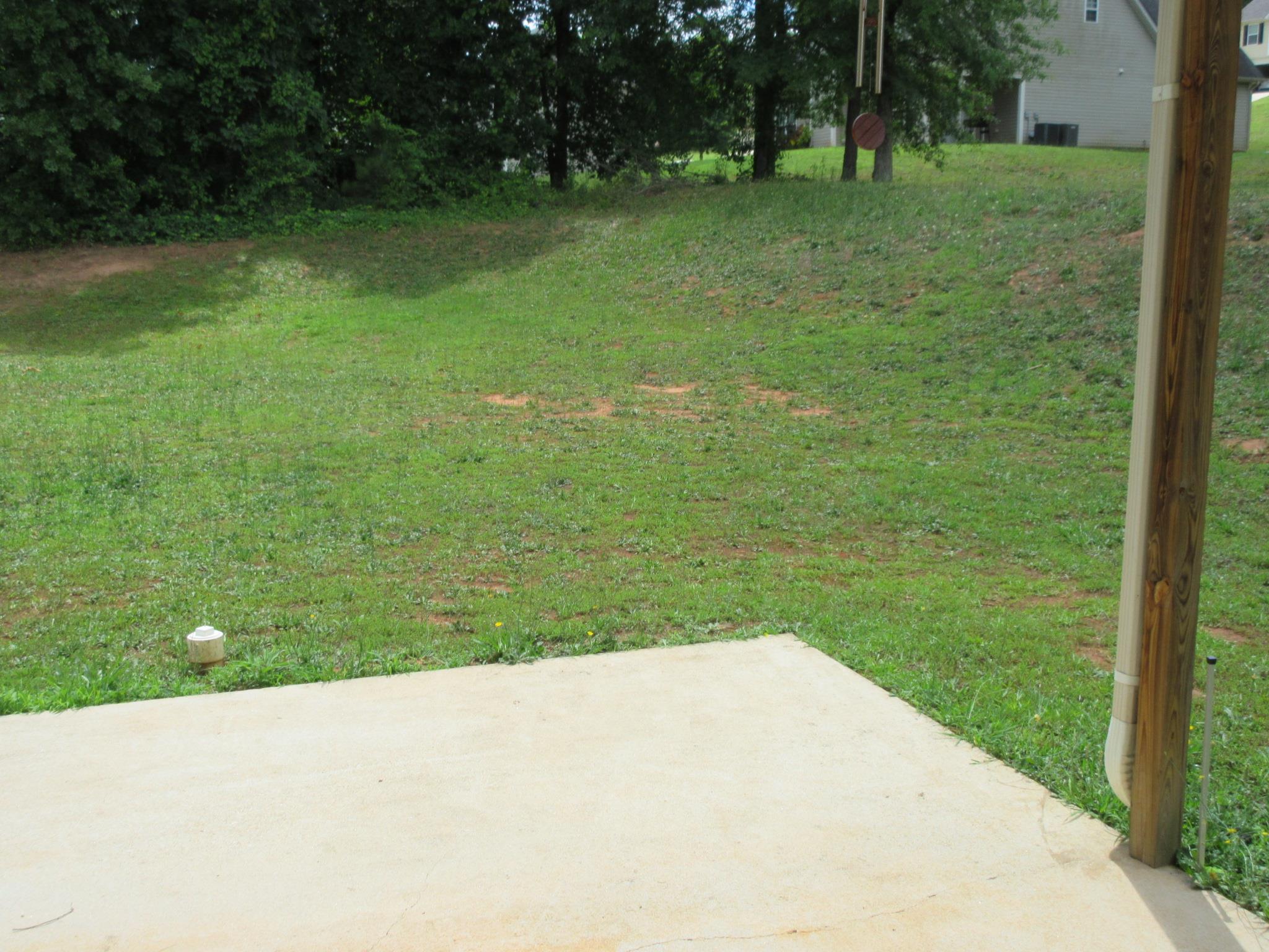 20 Shenandoah Ct, Covington, GA 30016 photo 17