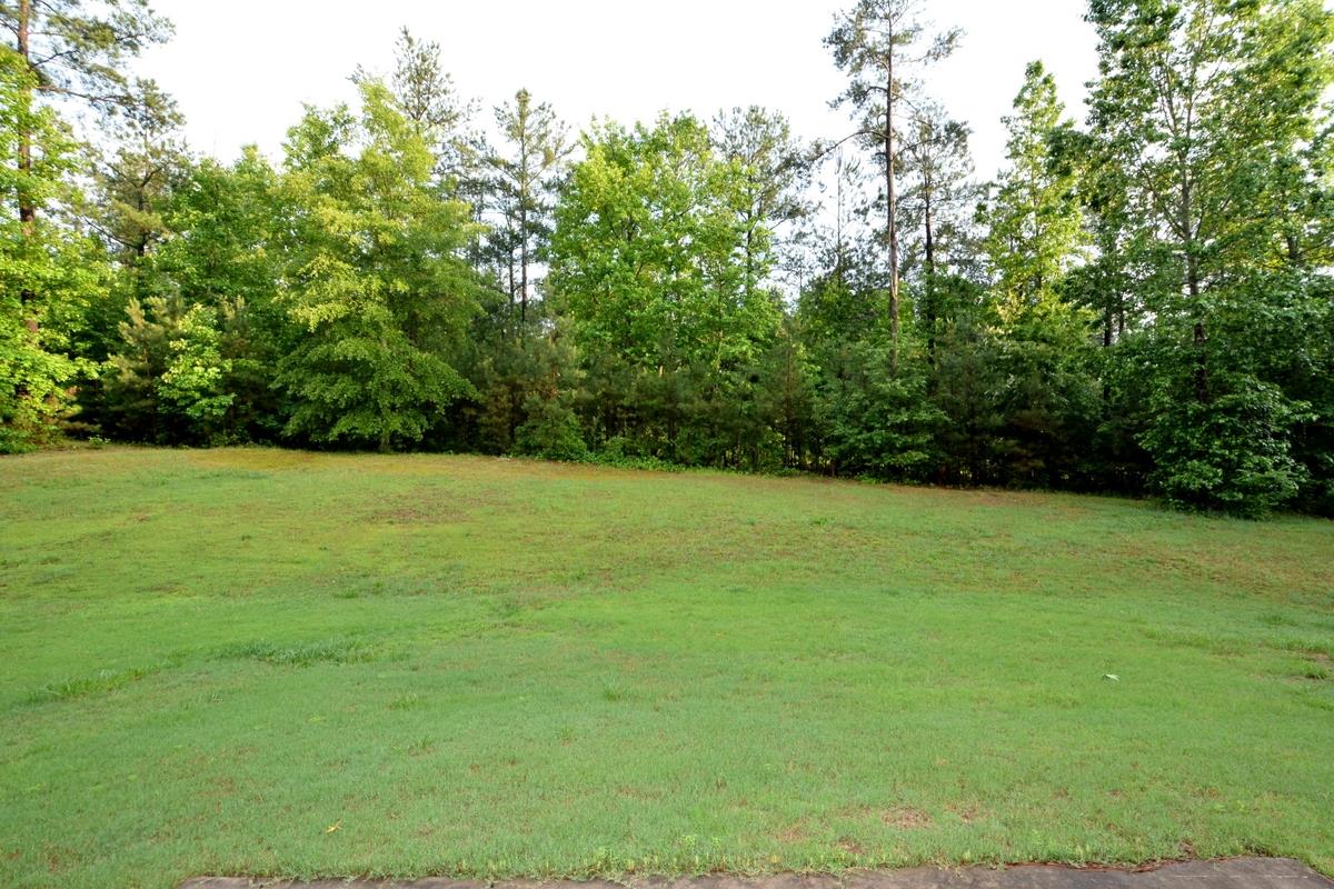958 Lochwolde Ln, Bethlehem, GA 30620 photo 24