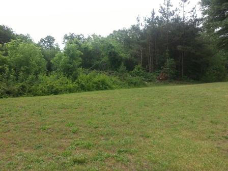 640 Hoyt King Rd, Bethlehem, GA 30620 photo 16