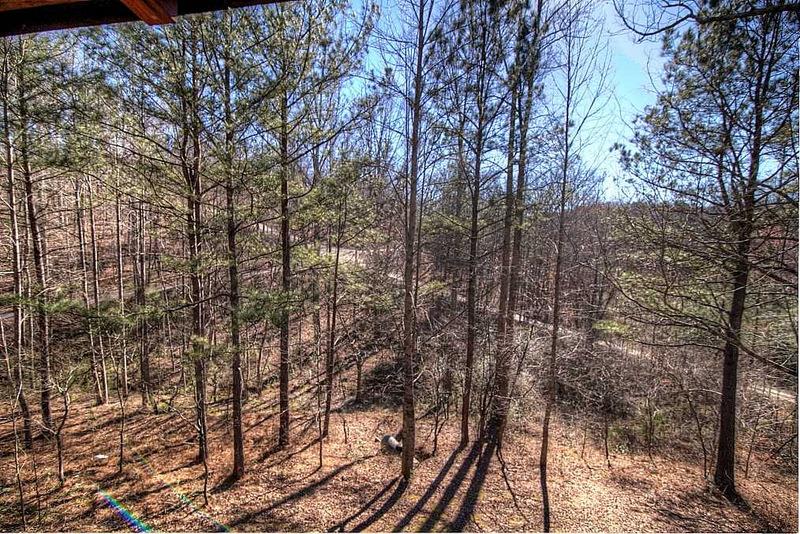 320 Sutallee Pl, White, GA 30184 photo 20