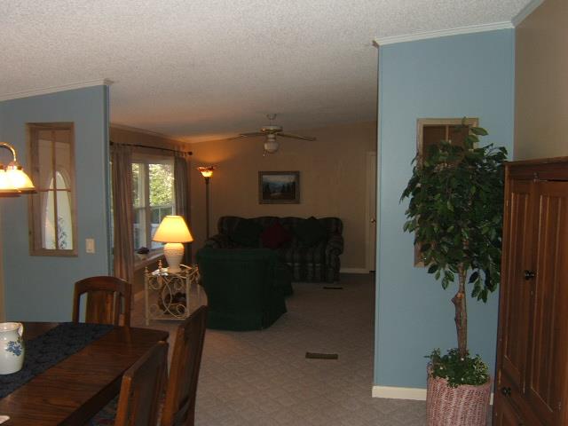 8410 Bryant Rd, Gainesville, GA 30506 photo 9