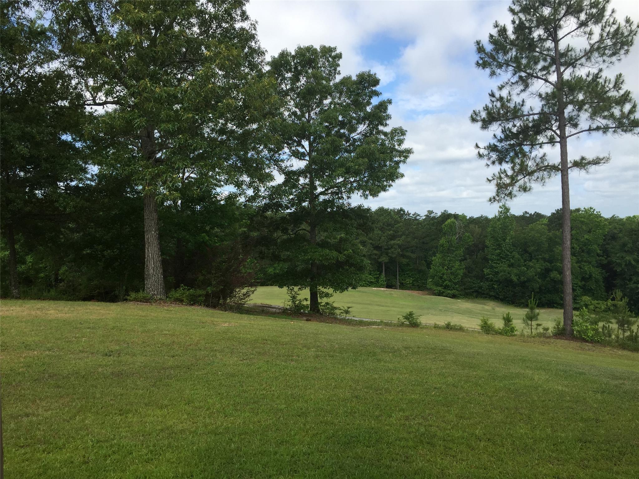 170 Mcclain Cir, Macon, GA 31216 photo 22