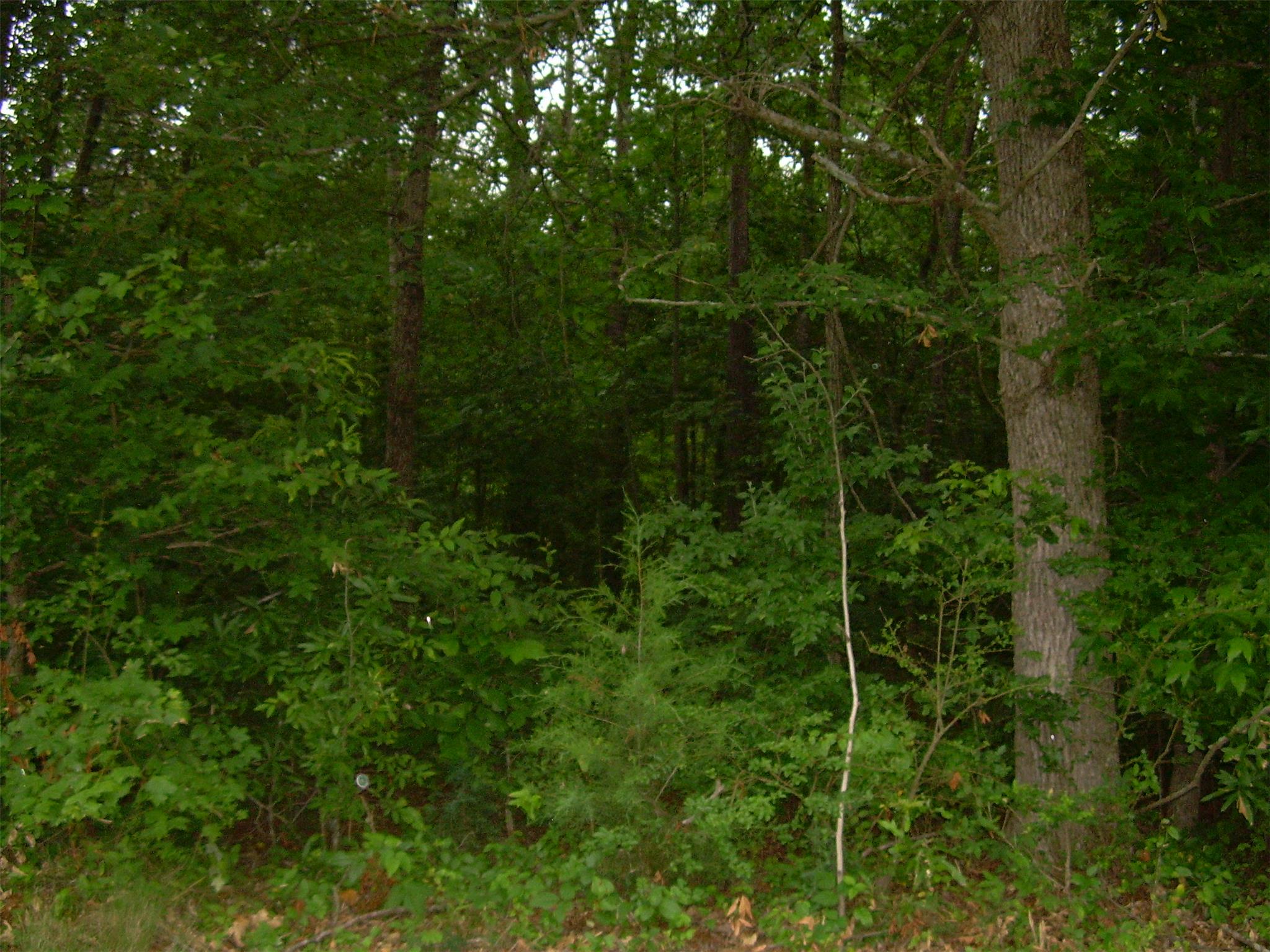 303 Nunn St, Commerce, GA 30529 photo 14