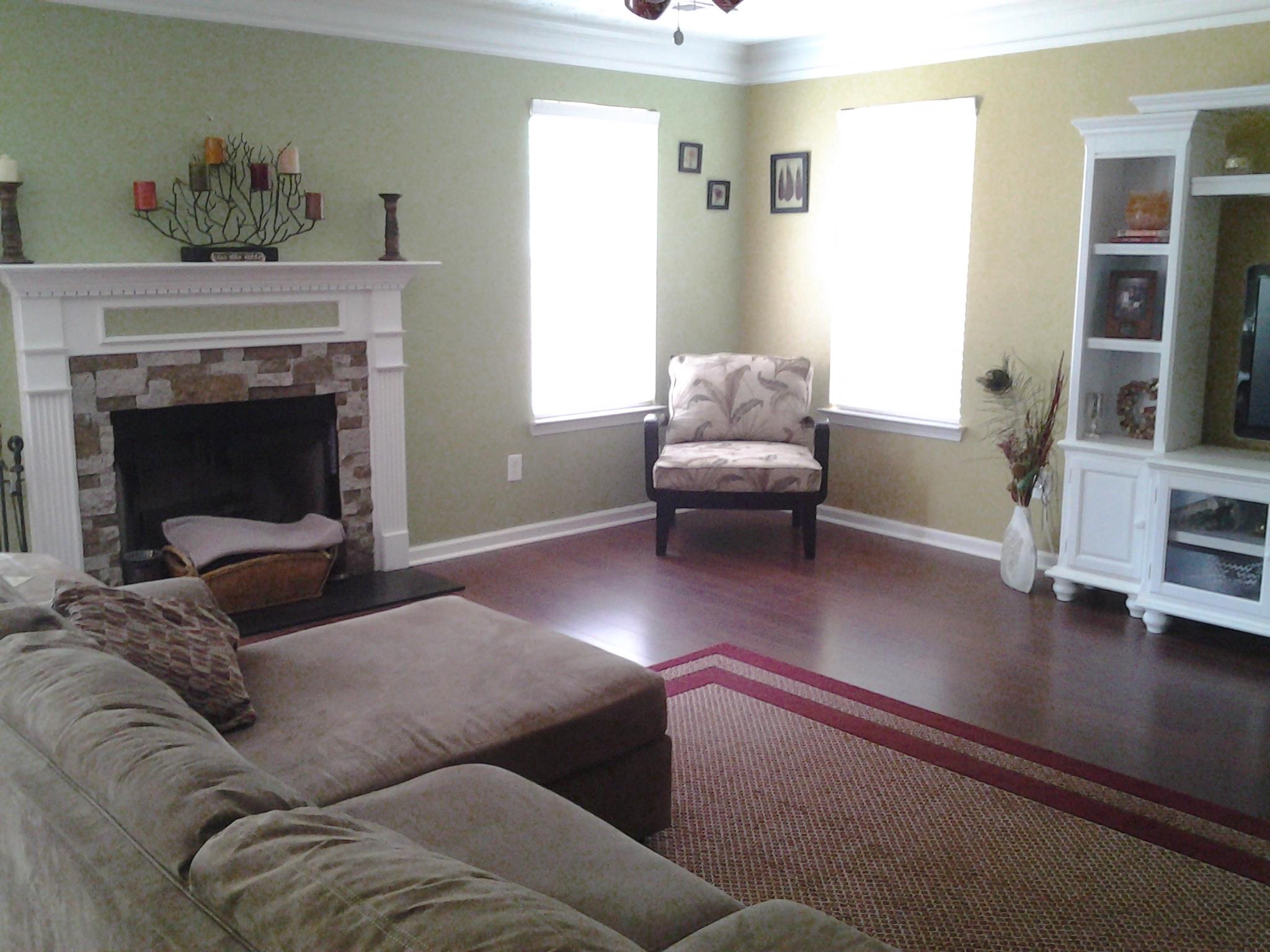 352 Cobblestone Ct, Hampton, GA 30228 photo 4