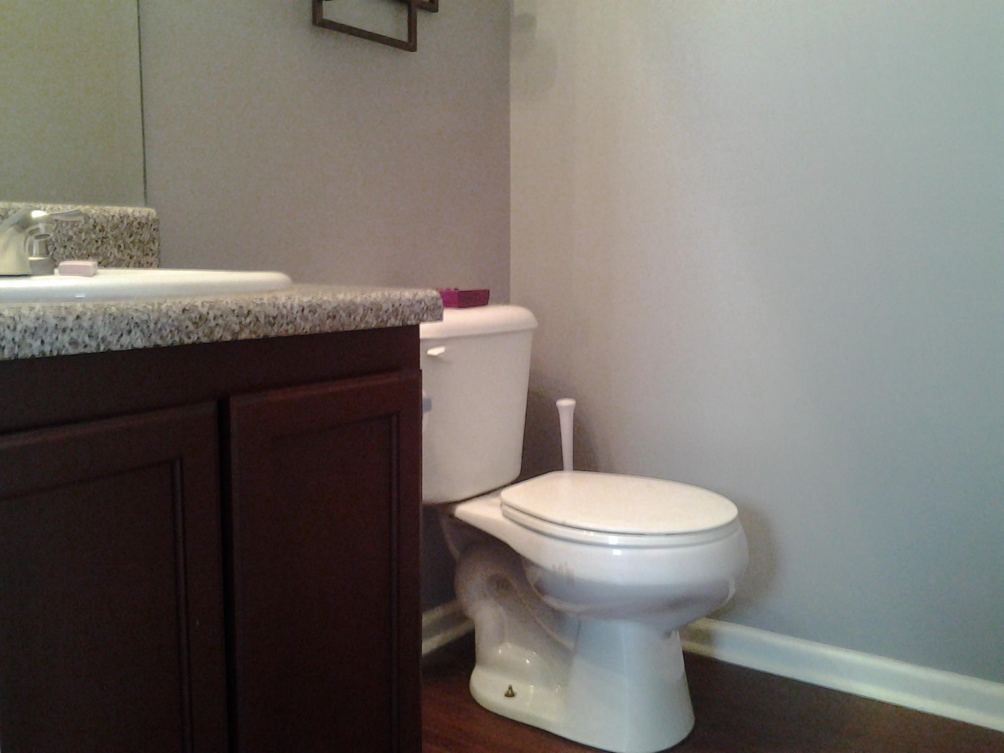 352 Cobblestone Ct, Hampton, GA 30228 photo 9