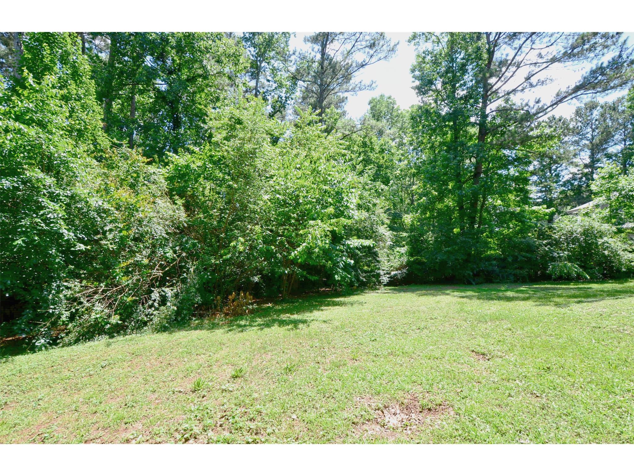 258 Arbour Run, Suwanee, GA 30024 photo 23