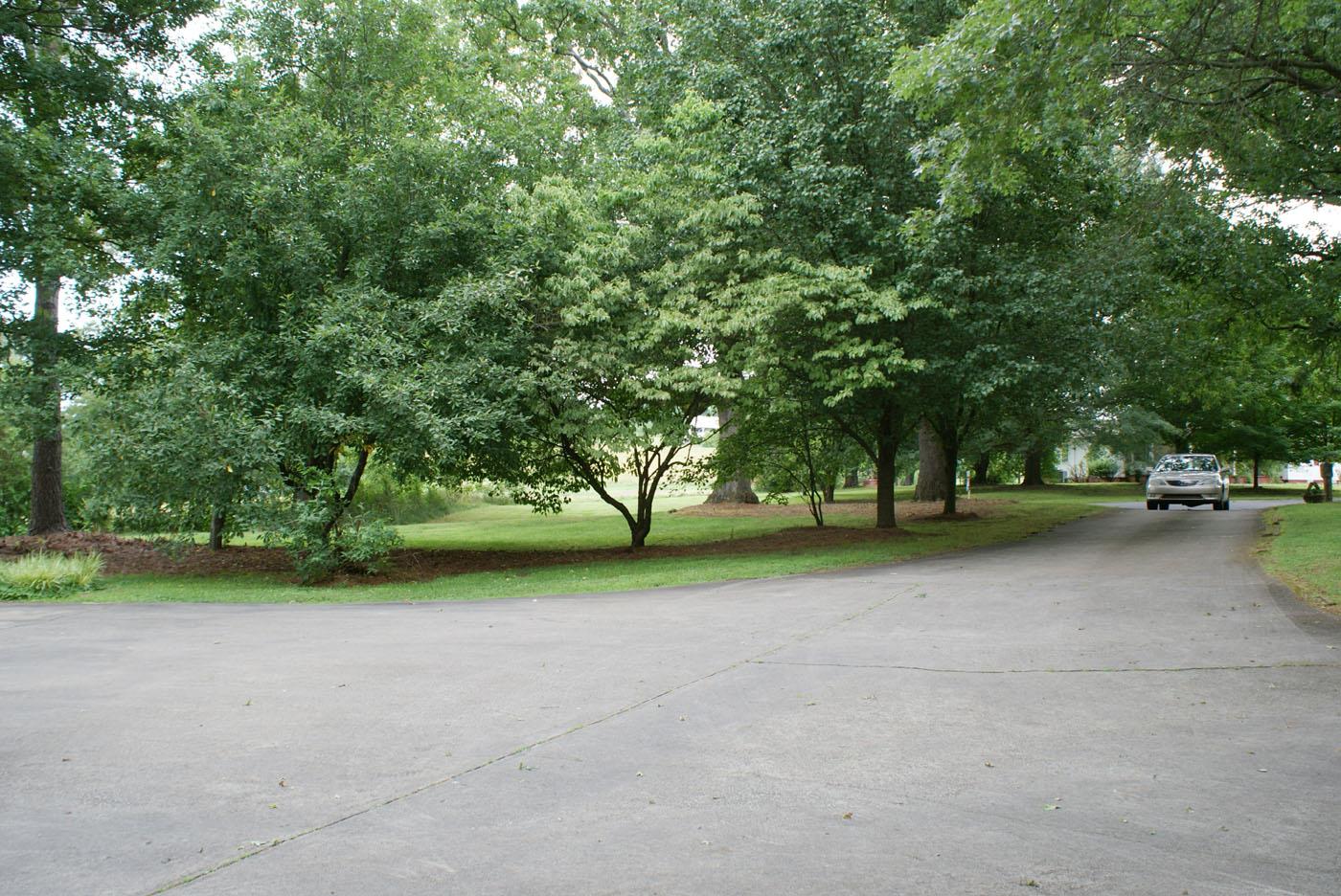 3938 Cato Rd, Gainesville, GA 30507 photo 25