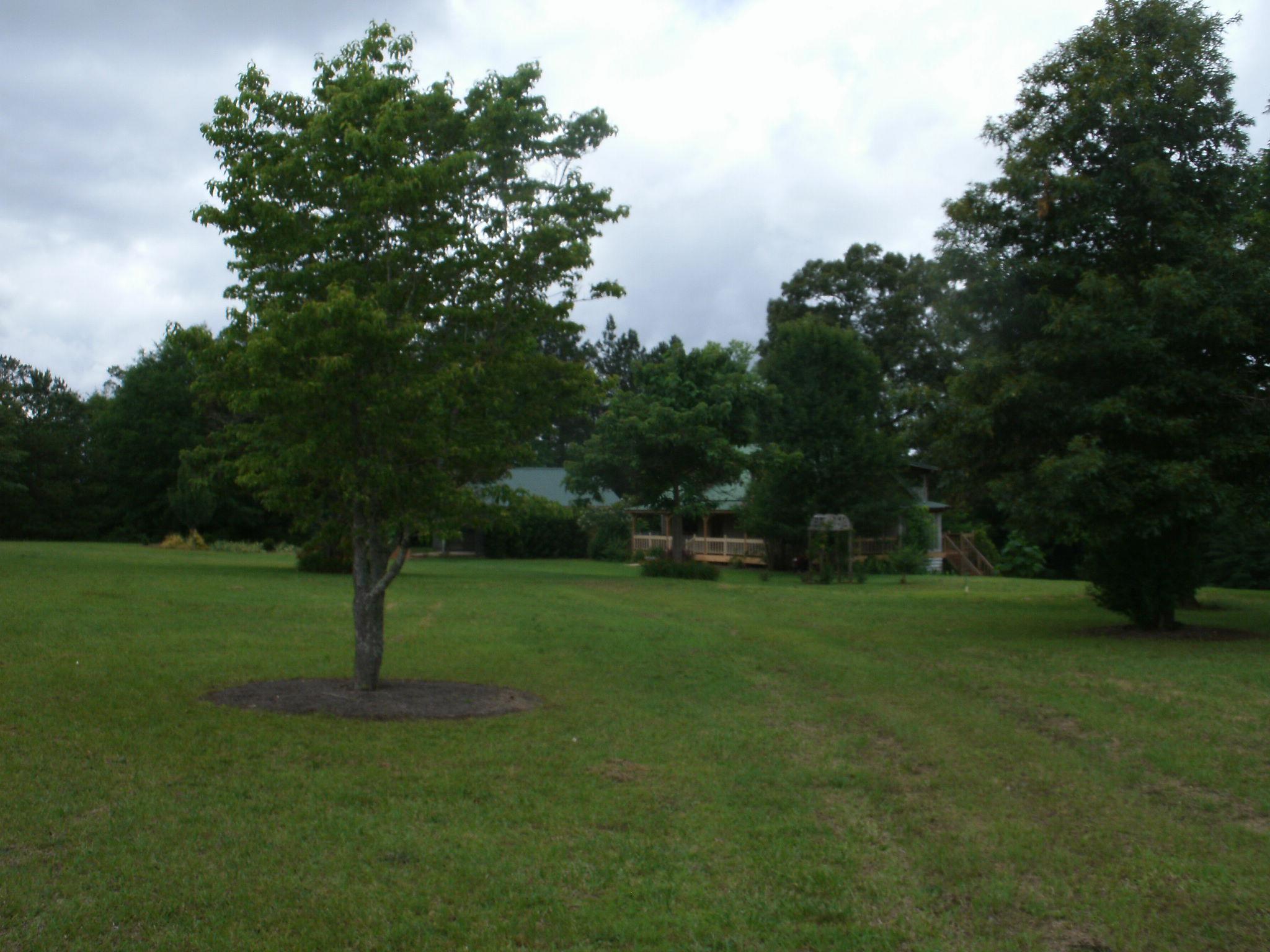 620 Mitchell Rd, Forsyth, GA 31029 photo 19