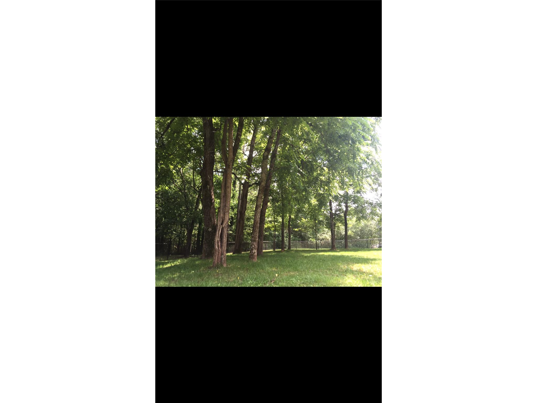 4530 Springwood Dr, Monroe, GA 30655 photo 3
