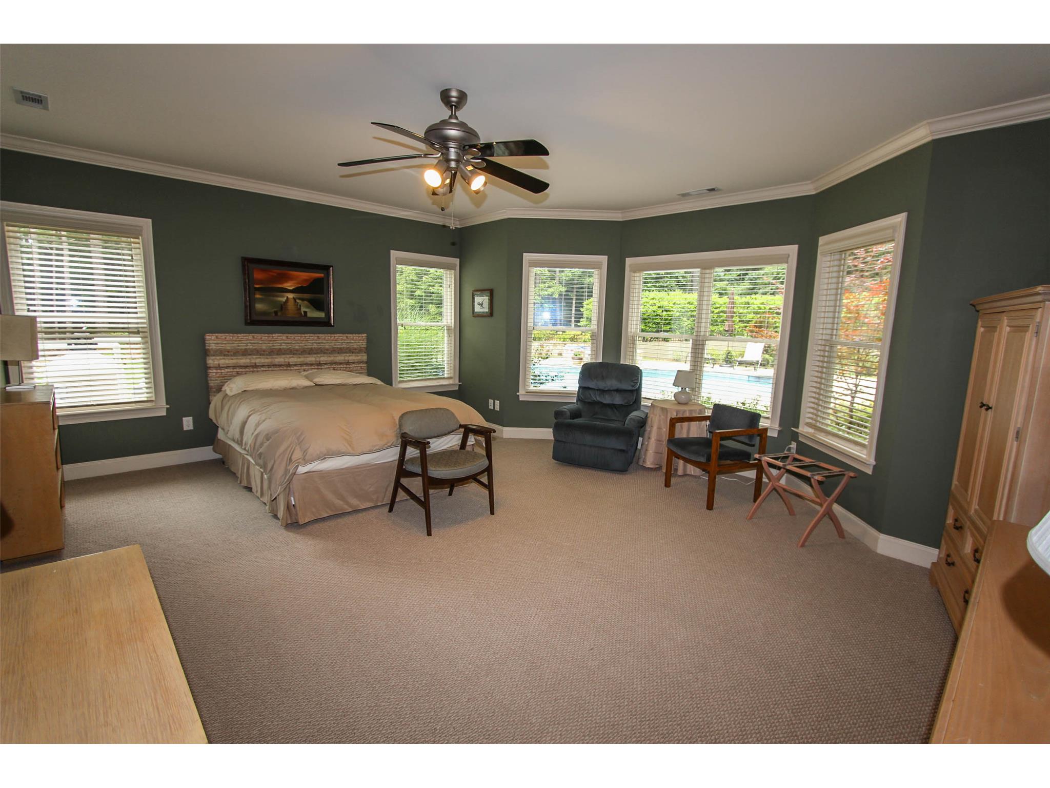 110 Crystal Ct, Tyrone, GA 30290 photo 16