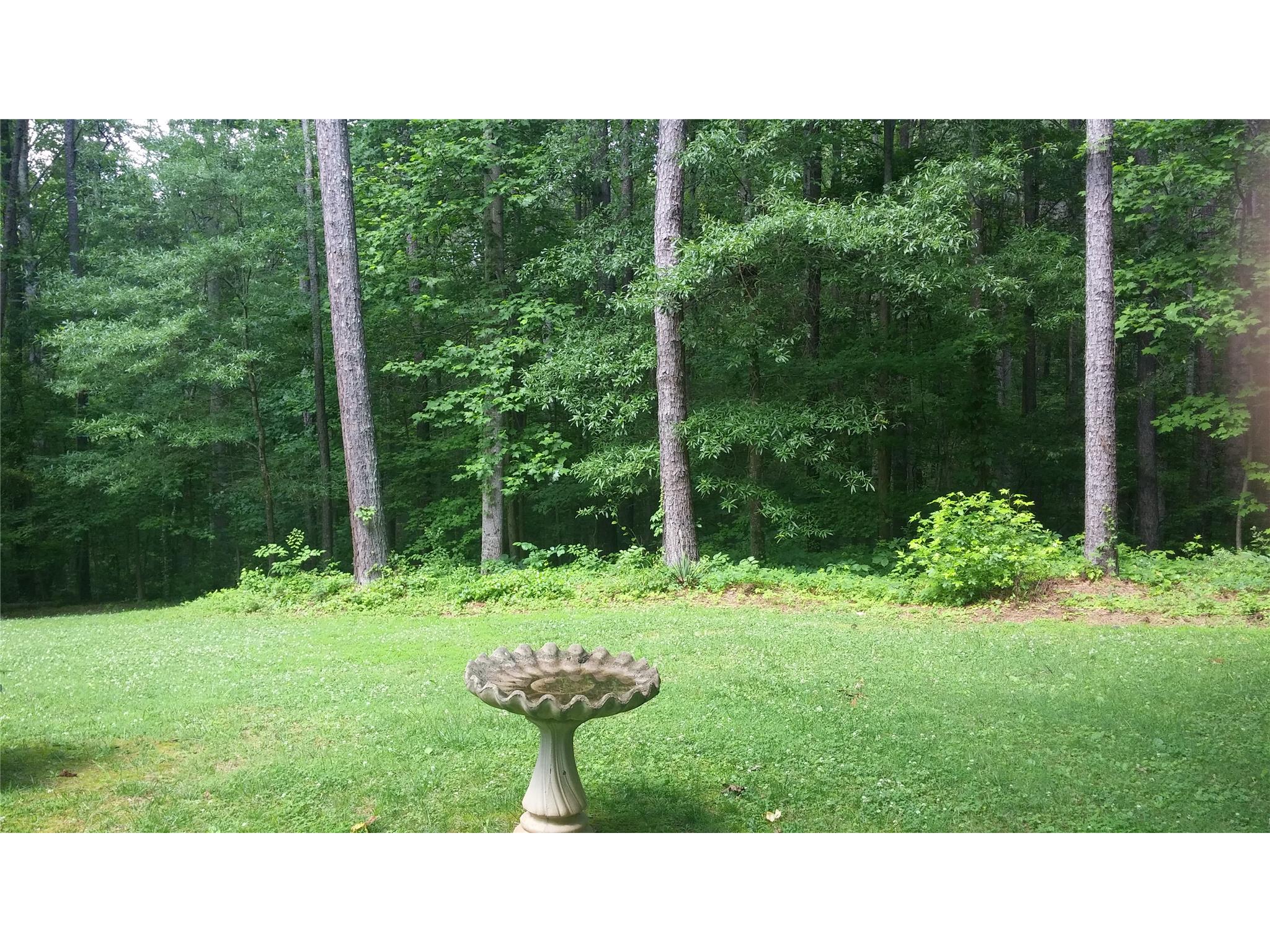 113 First Ave, Buchanan, GA 30113 photo 2