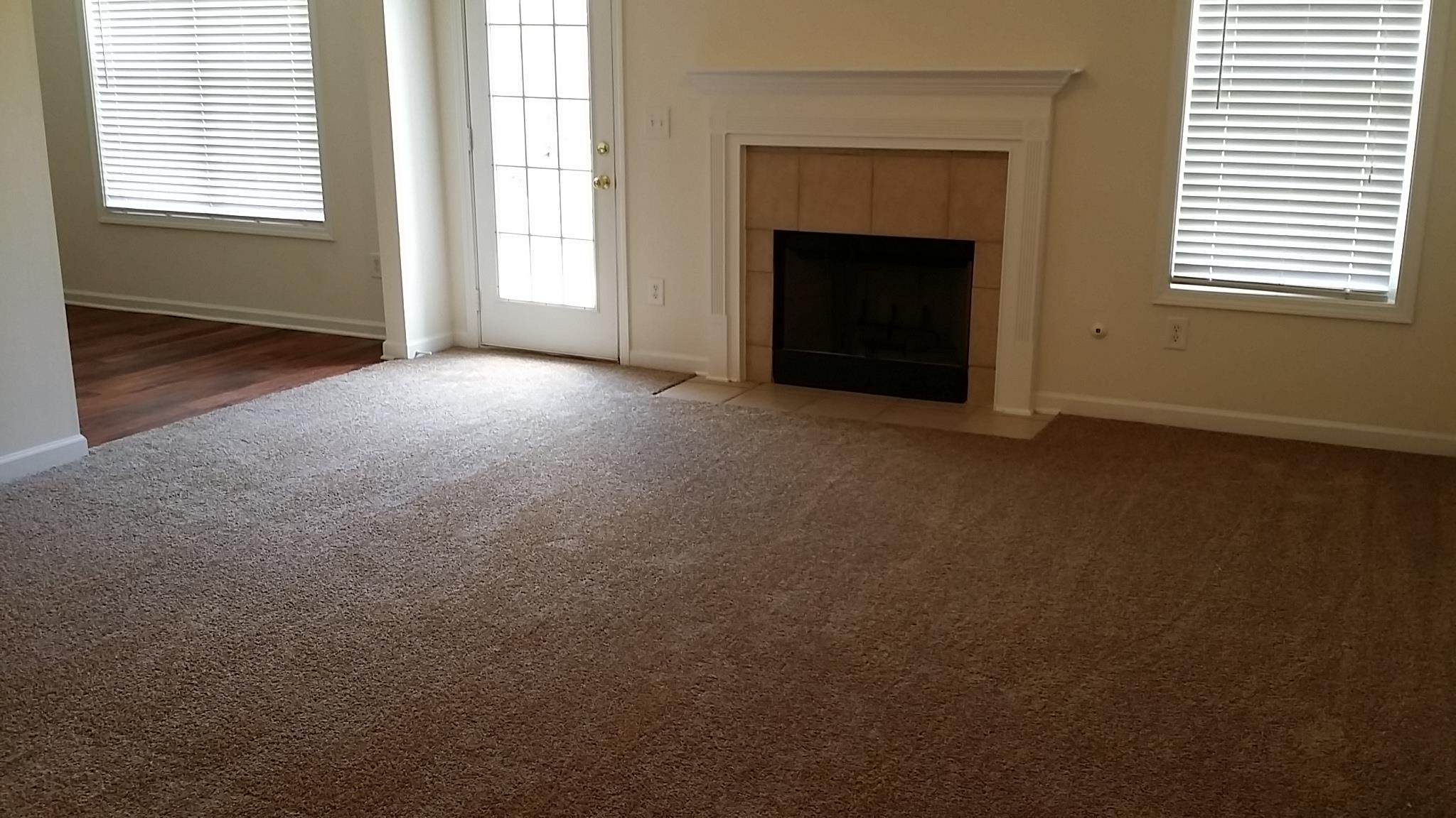 11441 Vinea Ln, Hampton, GA 30228 photo 8