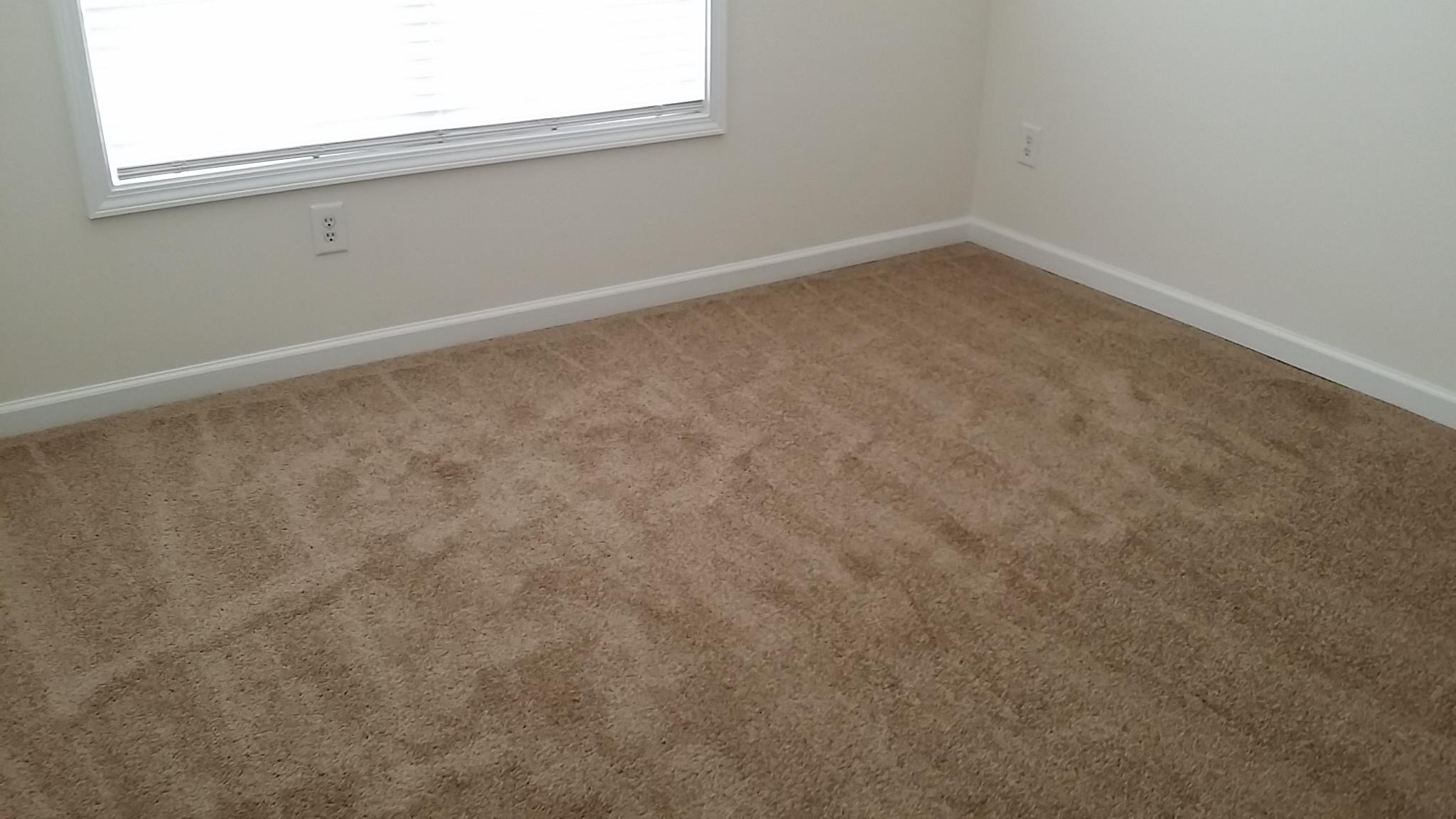 11441 Vinea Ln, Hampton, GA 30228 photo 13
