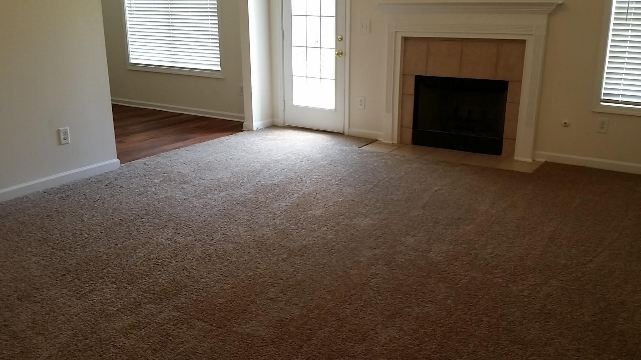 11441 Vinea Ln, Hampton, GA 30228 photo 9
