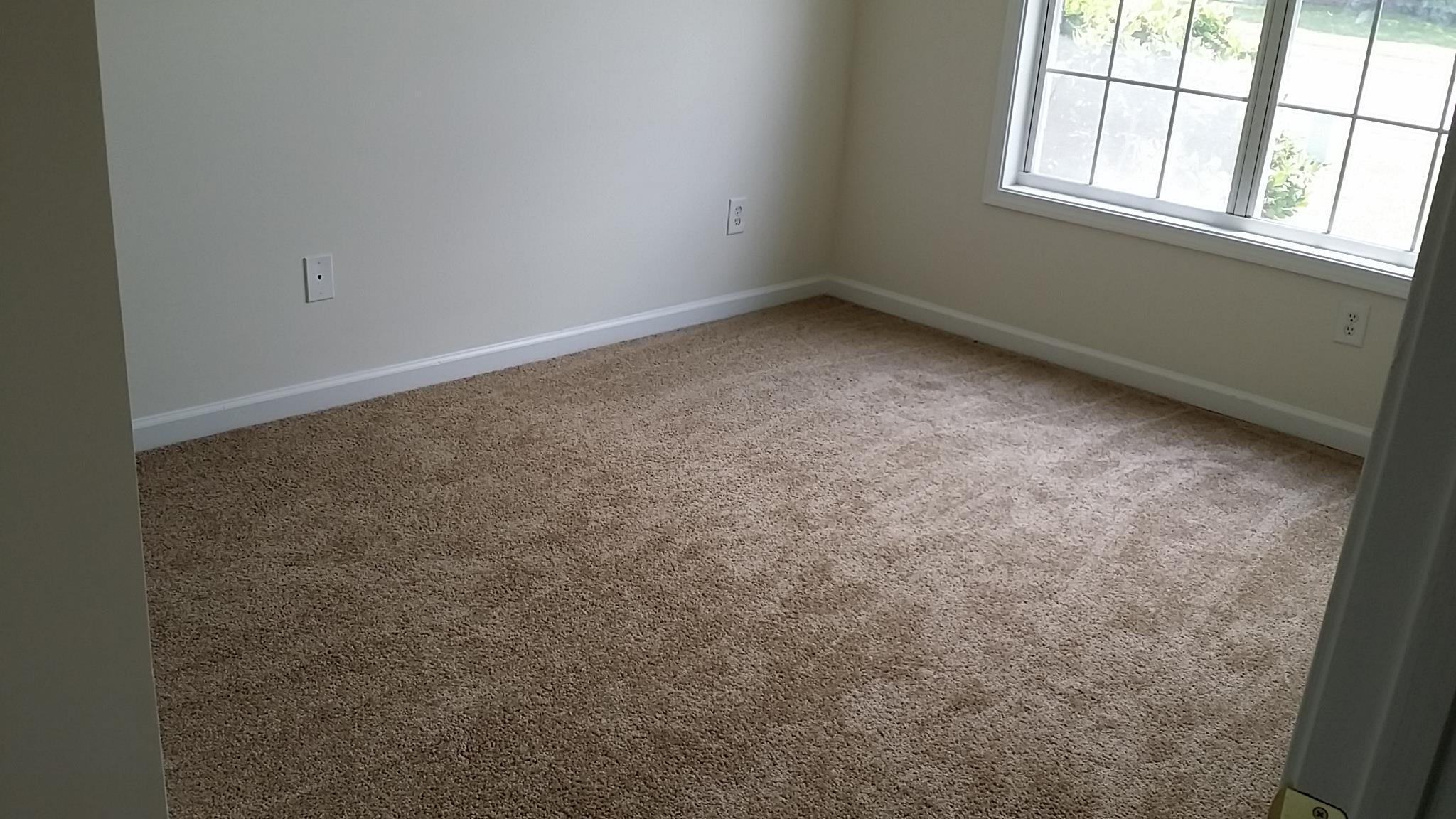 11441 Vinea Ln, Hampton, GA 30228 photo 11