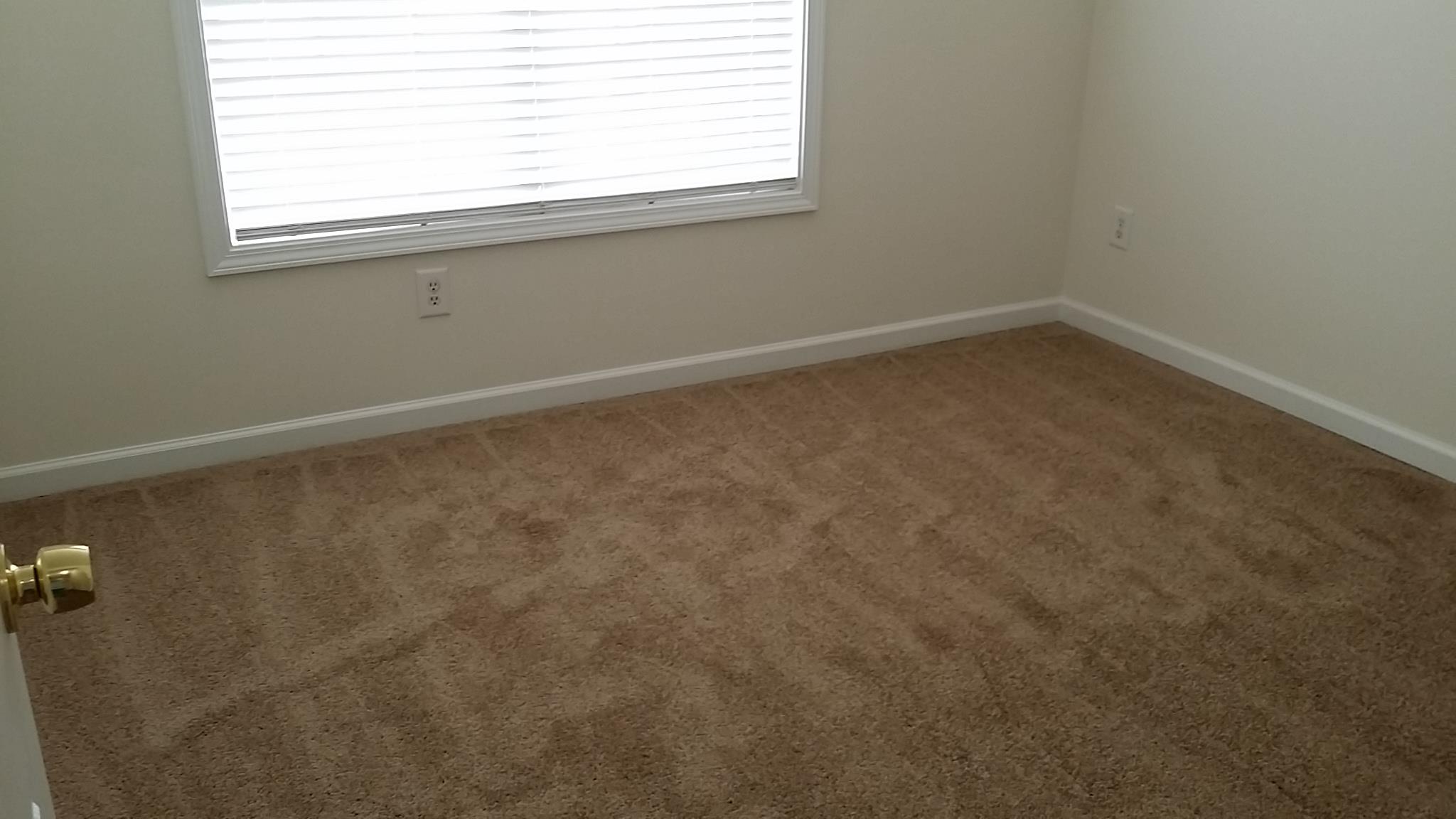 11441 Vinea Ln, Hampton, GA 30228 photo 12
