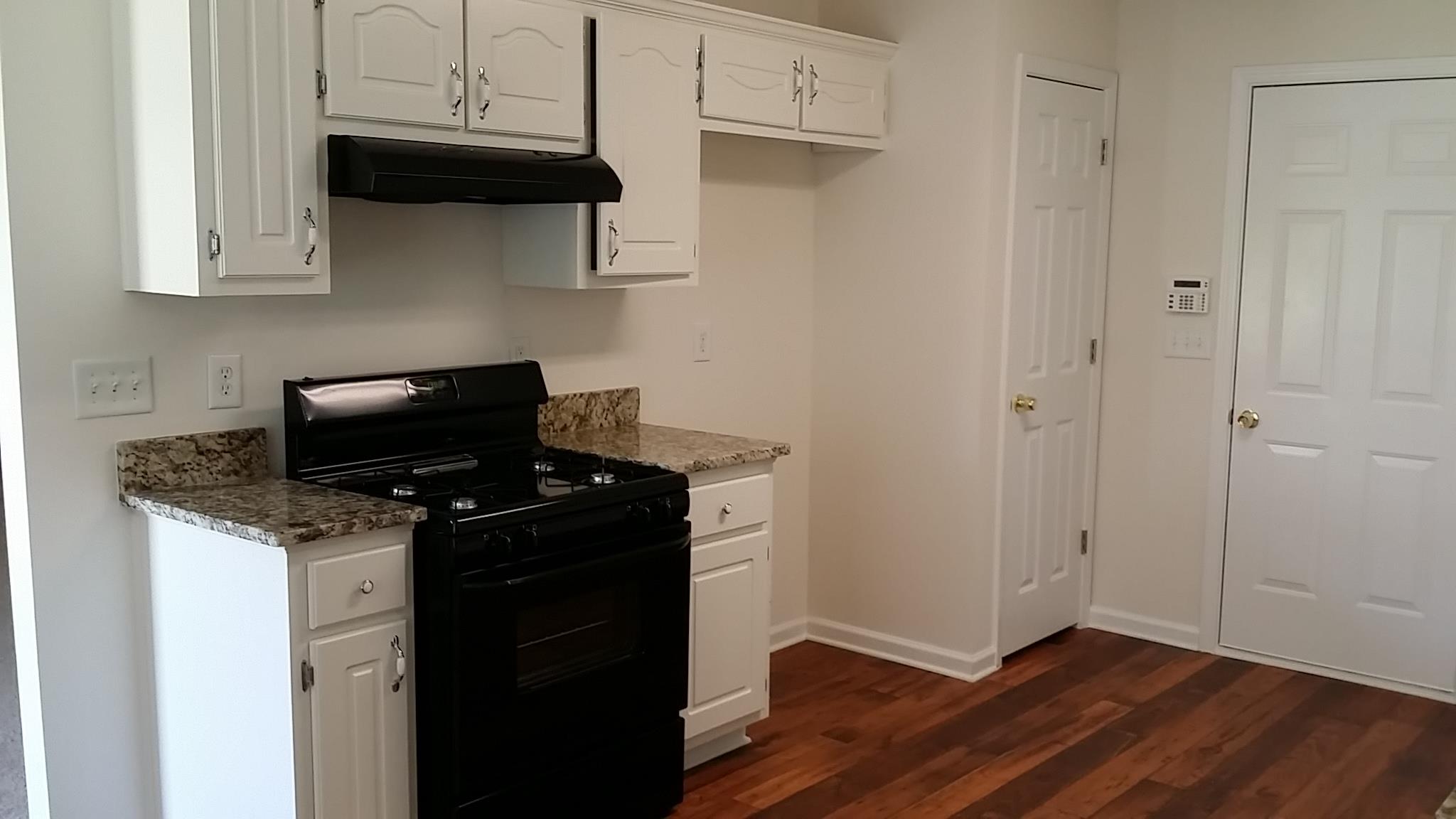 11441 Vinea Ln, Hampton, GA 30228 photo 5