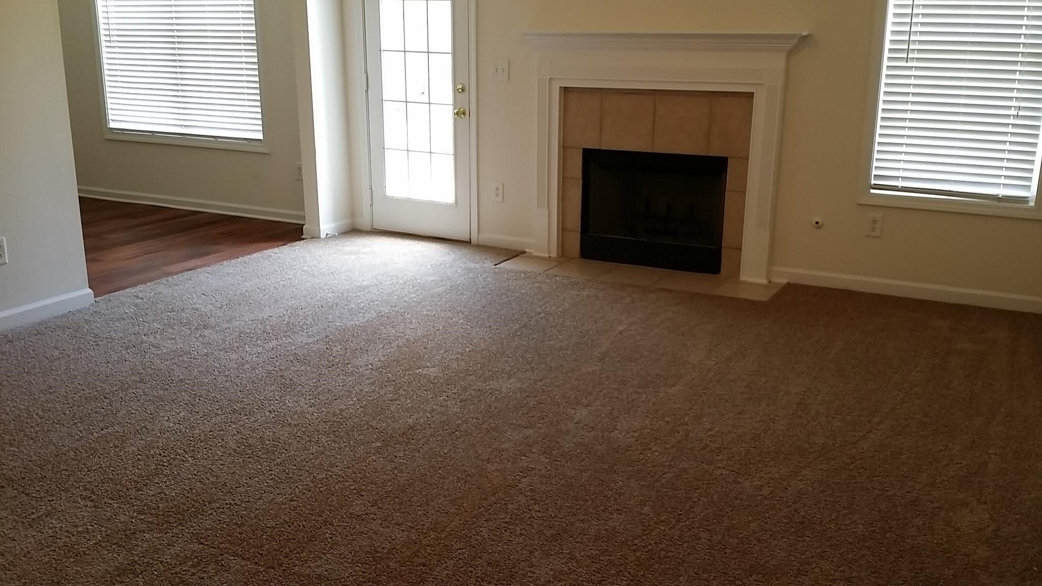 11441 Vinea Ln, Hampton, GA 30228 photo 7