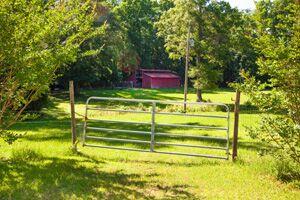 636 Mask Rd, Brooks, GA 30205 photo 22