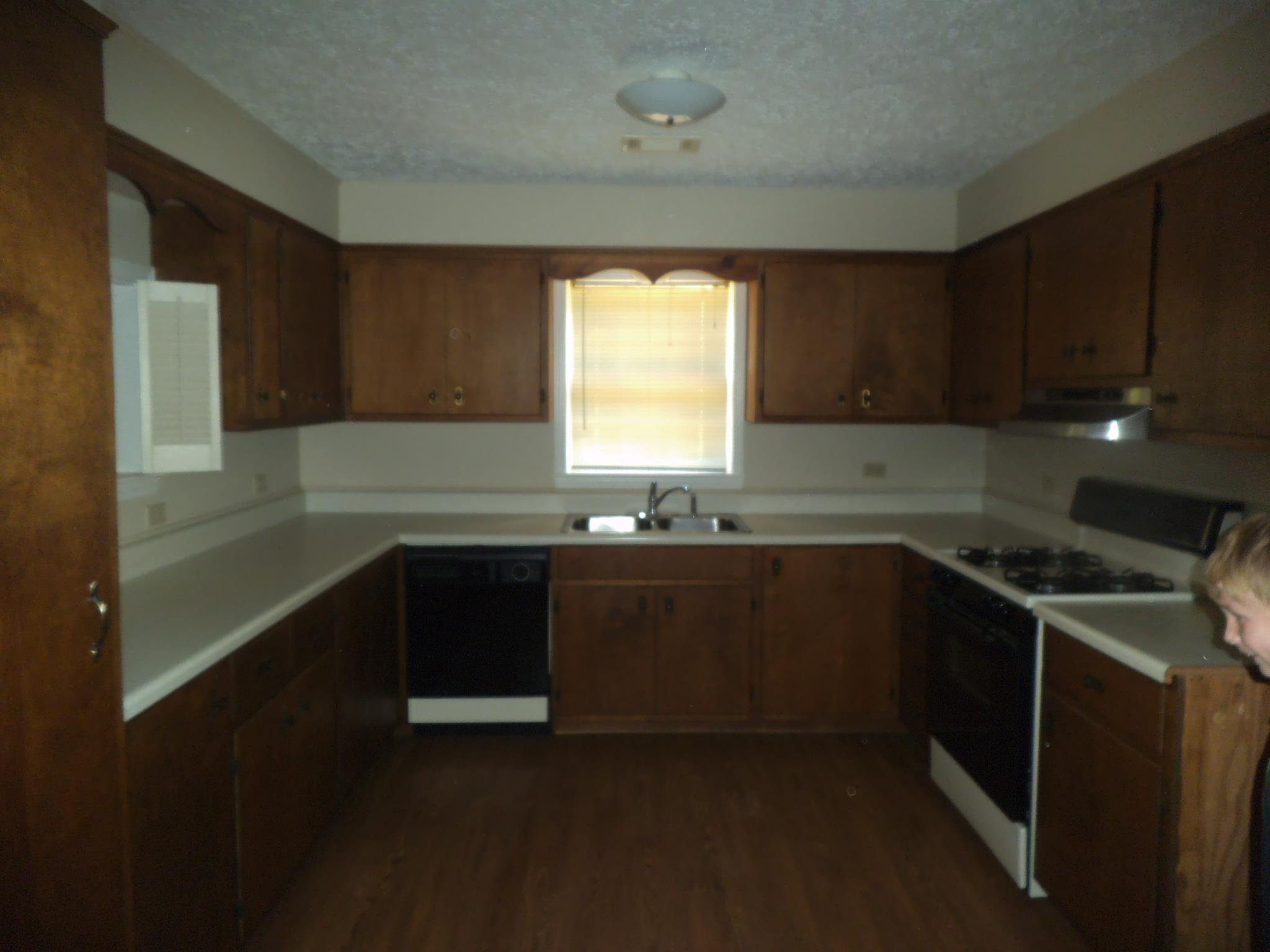 181 Langford Ln, Toccoa, GA 30577 photo 5