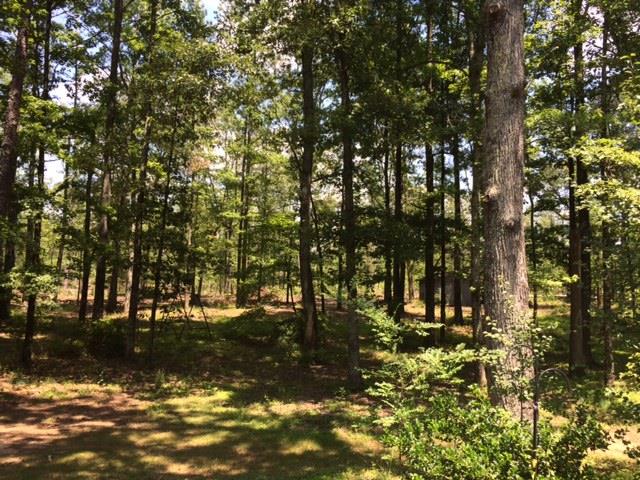 172 Carl Parker Rd, Hampton, GA 30228 photo 2