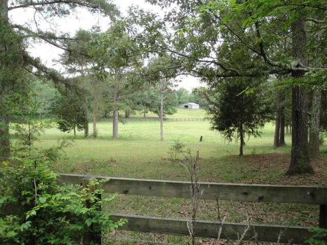 12 Sassy Ln, Kingston, GA 30145 photo 5