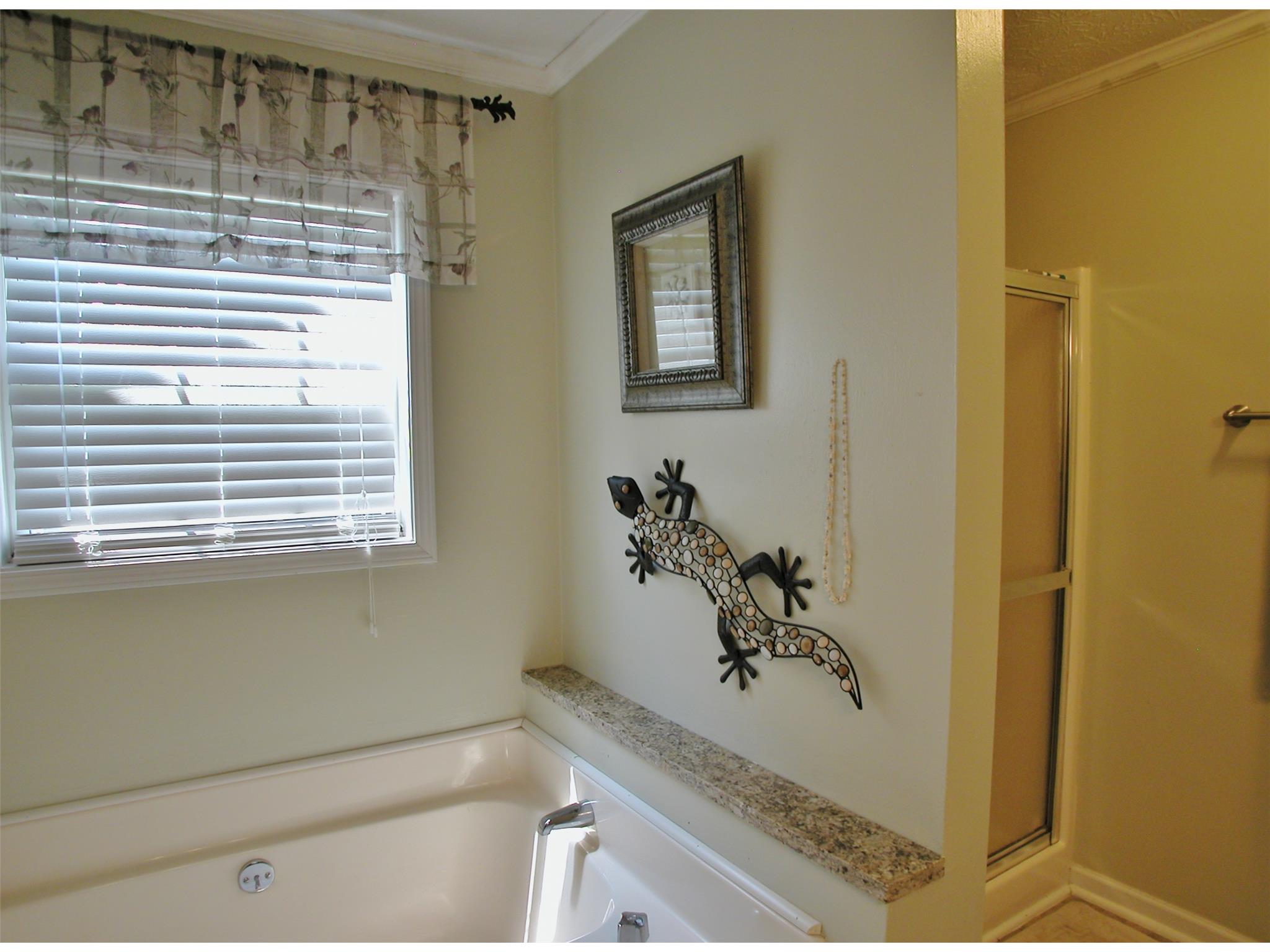 2725 Brookton Ln, Dacula, GA 30019 photo 15