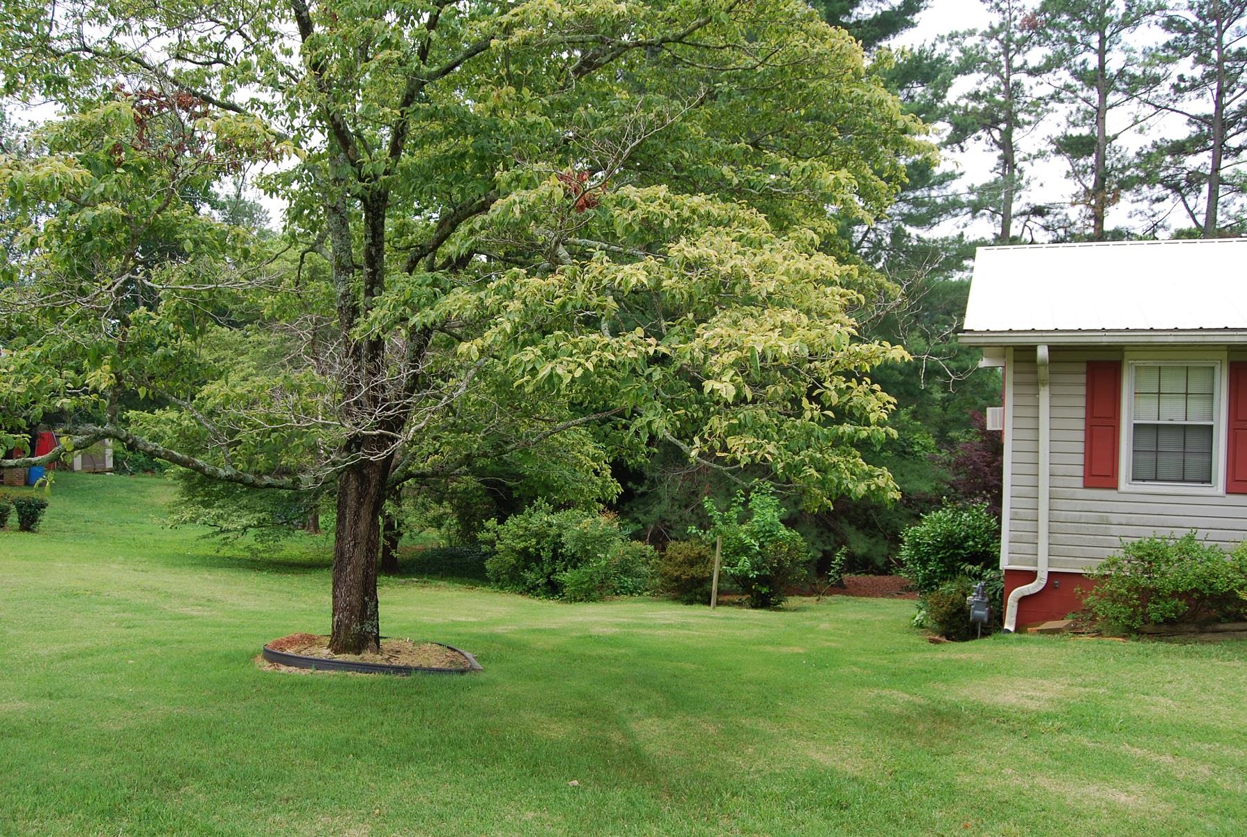 187 Heindel St, Baldwin, GA 30511 photo 18