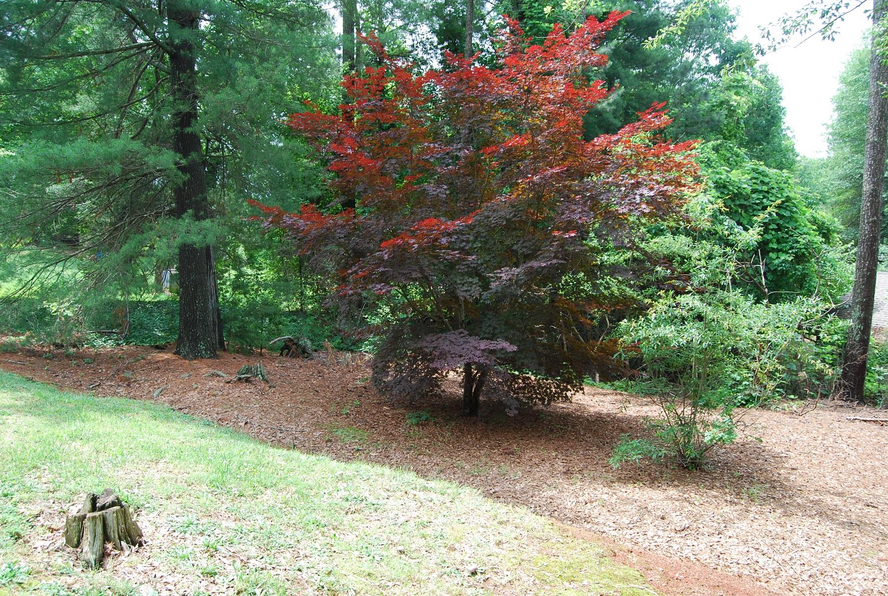 187 Heindel St, Baldwin, GA 30511 photo 6