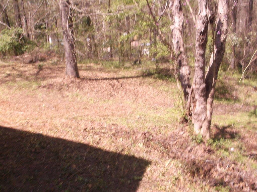 450 N Bluff Rd, Athens, GA 30607 photo 13