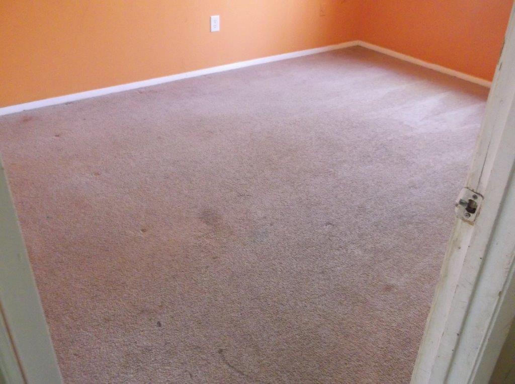 450 N Bluff Rd, Athens, GA 30607 photo 8