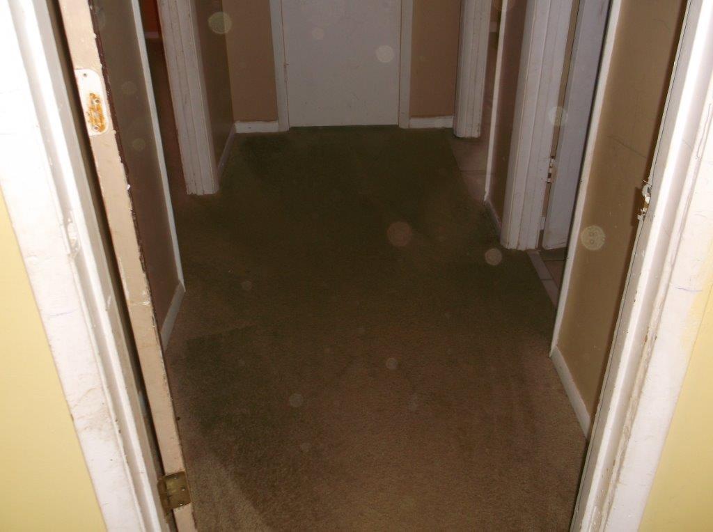 450 N Bluff Rd, Athens, GA 30607 photo 7