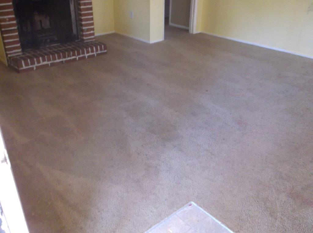 450 N Bluff Rd, Athens, GA 30607 photo 2